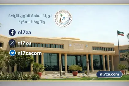 انتاج بيض المائدة في مزارع الوفرة الكويت، جهود الهيئة لتعزيز الامن الغذائي في الكويت، جولات الهيئة العامة للزراعة في مزارع الوفرة الكويت، دعم الانتاج الزراعي والحيواني في الكويت، طاقة انتاج الدجاج اللاحم في الكويت، متابعة الحالة التشغيلية للمزارع في منطقة الوفرة