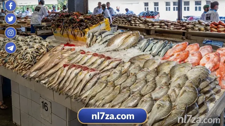ظهور فني ظهور فني