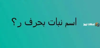 اسم نبات بحرف الراء، شروط لعبة اسم نبات، لعبة اسم نبات بحرف الراء