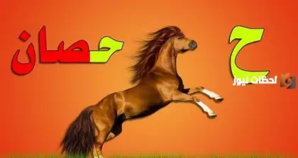 أسماء حيوانات مفترسة، اسم حيوان بحرف الحاء، حيوانات أليفة بحرف الحاء