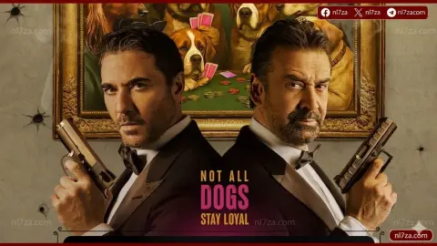ايرادات السينما في مصر 2026، فيلم 7 dogs يتصدر شباك التذاكر، ترتيب افلام السينما المصرية الحالية، فيلم اسد محمد رمضان ايرادات، فيلم الكلام على ايه طاقم العمل، فيلم اذما احمد داود وسلمى ابو ضيف