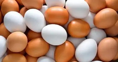استقرار فى المزرعة وتفاوت فى الأسواق.. رصد شامل لأسعار بيض المائدة اليوم الثلاثاء استقرار فى المزرعة وتفاوت فى الأسواق.. رصد شامل لأسعار بيض المائدة اليوم الثلاثاء