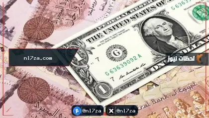 سعر الدولار أمام الجنيه المصري.. مفاجأة في بنكي الأهلي ومصر