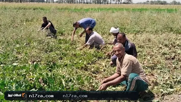 موجة حارة موجة حارة
