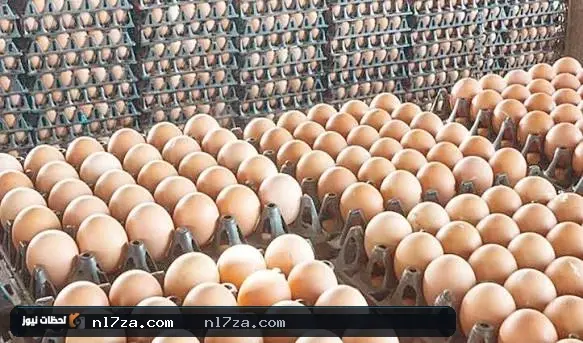 مجلس الوزراء مجلس الوزراء