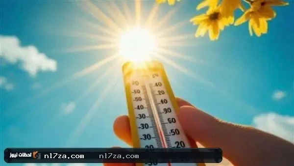 شبورة صباحية شبورة صباحية