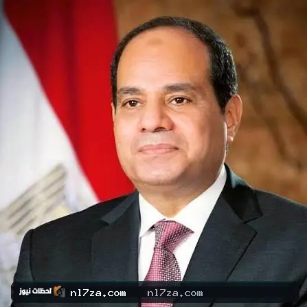 الرئيس السيسي الرئيس السيسي