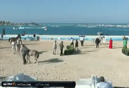 إقبال جماهيري كبير على بطولة الساحل الشمالي لجمال الخيول العربية