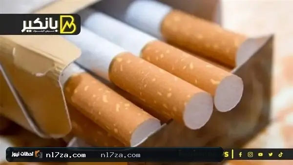 منتجات التبغ منتجات التبغ
