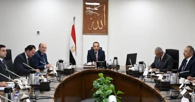 الحكومة: تحويل مصر إلى مركز إقليمى لصناعة الكتان بحلول عام 2030