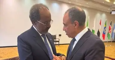 خلال لقائه الرئيس الصومالي.. وزير الخارجية يؤكد دعم مصر الكامل لسيادة الصومال