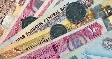 الدرهم الإماراتى يكسب 14 قرشًا فى أسبوع.. سعره أمام الجنيه اليوم الجمعة