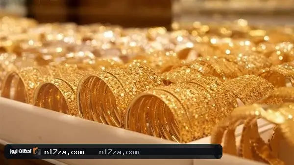 محضر الفيدرالي محضر الفيدرالي