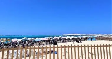 الطقس اليوم.. استمرار انخفاض درجات الحرارة والمحسوسة بالقاهرة 36 درجة