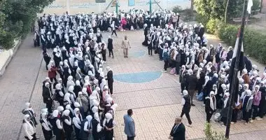 نظام جديد نظام جديد