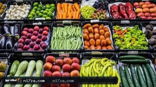 ٢٢ أغسطس ٢٠٢٦ ٢٢ أغسطس ٢٠٢٦
