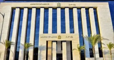 وزارة العمل تعلن عن فرص عمل فى الأمن والحراسة للسيدات.. تفاصيل