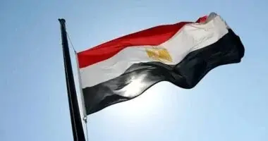 مصر تعرب عن تضامنها مع الجزائر في مواجهة حرائق الغابات بشمال شرق البلاد