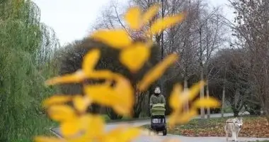 الخريف يبدأ فلكيا 22 سبتمبر.. هل تنتهى الأجواء الحارة مع بداية الفصل؟