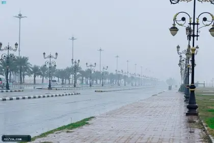 أمطار رعدية وبَرَد وسيول على عدة مناطق بالسعودية