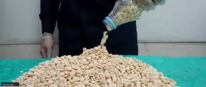 المنافذ الجمركية تحبط 1075 حالة ضبط للممنوعات