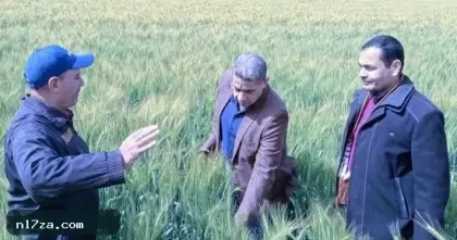 "الصهد انكسر.. لكن الخطر مستمر".. فهيم يحذر من نشاط 4 آفات زراعية
