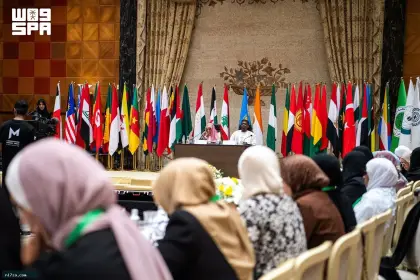 ندوة 'مواجهة العنف ضد المرأة ' تبحث تصحيح المفاهيم المغلوطة
