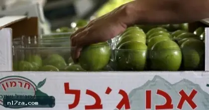 خارجية إسرائيل تقرر غلق القنصلية البريطانية عقابا للمملكة على حظرها منتجات المستوطنات
