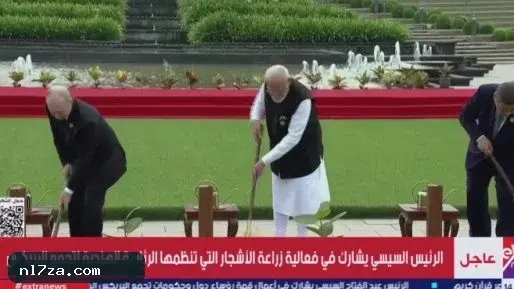 الرئيس السيسي يشارك فى فعالية زراعة أشجار تنظمها الرئاسة الهندية لتجمع البريكس