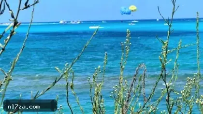 الطقس غدا.. حار رطب نهارا وشبورة كثيفة صباحا والمحسوسة بالقاهرة 37 درجة