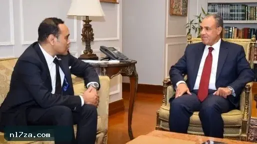 وزير الخارجية يدعو سنغافورة لزيادة استثماراتها بالمنطقة الاقتصادية لقناة السويس