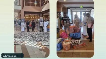 إتلاف 500 كيلوغرام من الأسماك الفاسدة في الأحمدي