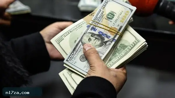 تحويلات المصريين بالخارج تقترب من 30 مليار دولار خلال 7 أشهر تحويلات المصريين بالخارج تقترب من 30 مليار دولار خلال 7 أشهر