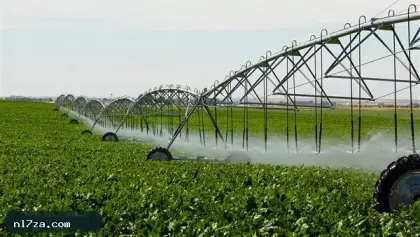 محاصيل بإنتاج أعلى ومياه أقل.. مصر تبدأ ثورة جديدة في أصناف الأرز والقمح والقطن