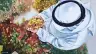 عالية المنصوري... «النخلة» محور الحكاية الأولى