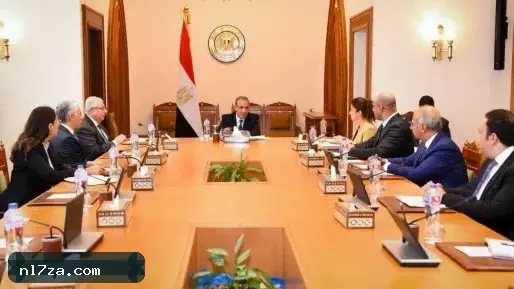 وزير الخارجية يؤكد أهمية استثمار فرص الهجرة النظامية لتعزيز العمالة المصرية وزير الخارجية يؤكد أهمية استثمار فرص الهجرة النظامية لتعزيز العمالة المصرية