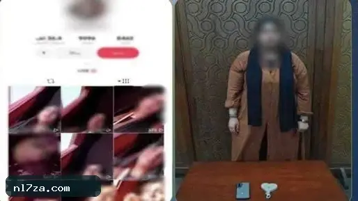دار الإفتاء دار الإفتاء