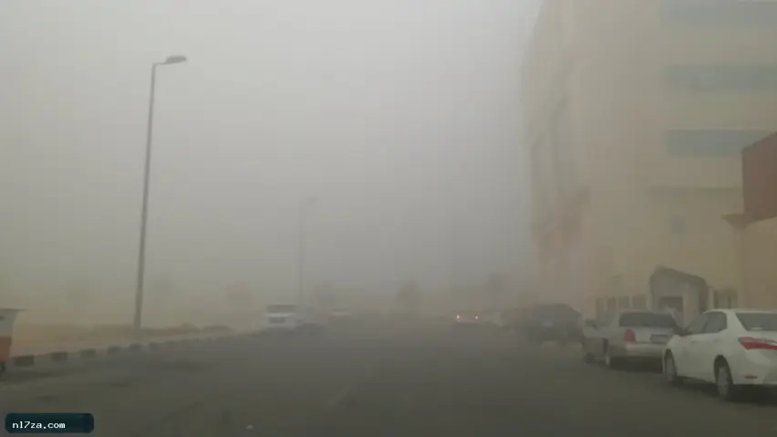 ضباب ينبع