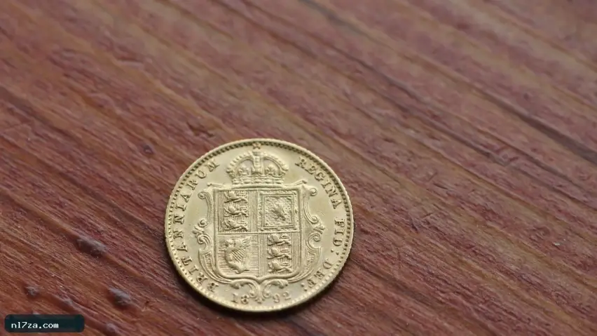 أسعار الدواجن أسعار الدواجن