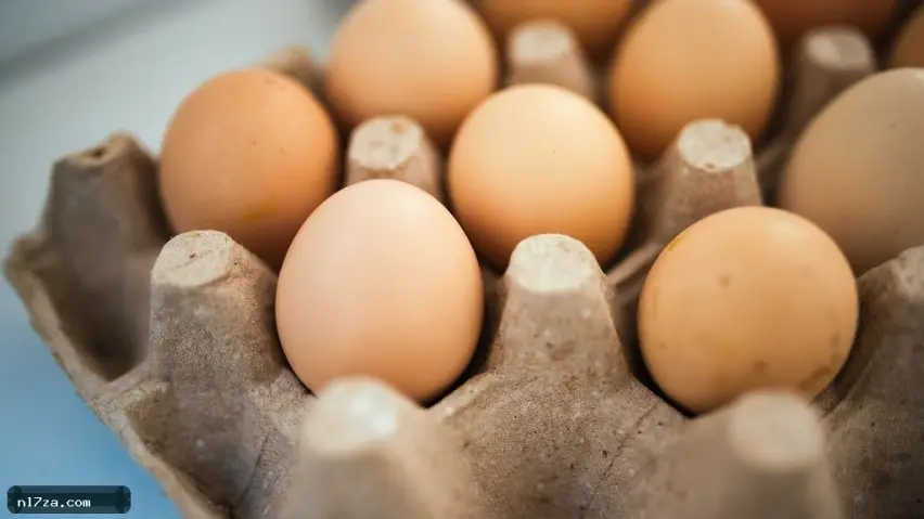 أسعار الجملة
