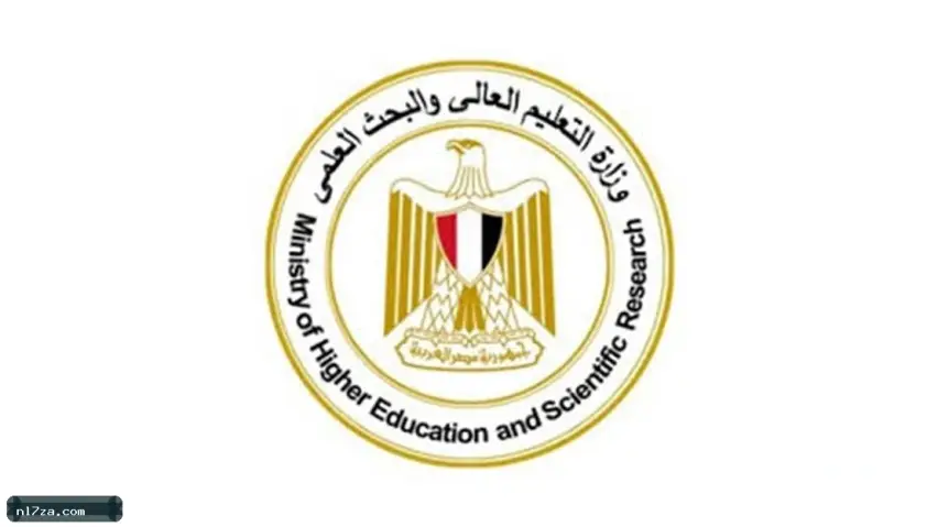 التعليم العالي التعليم العالي
