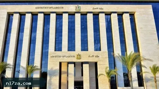 وزارة العمل تطرح 10 وظائف برواتب تصل إلى 16000 جنيه في القاهرة وزارة العمل تطرح 10 وظائف برواتب تصل إلى 16000 جنيه في القاهرة