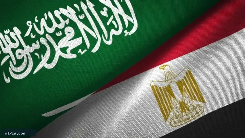 مصر تدين هجمات مطاري أبها والرياض وتتابع أوضاع المصابين المصريين مصر تدين هجمات مطاري أبها والرياض وتتابع أوضاع المصابين المصريين