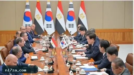 السيسي يعلن توافقا كاملا مع كوريا الجنوبية لتعزيز التعاون بين البلدين السيسي يعلن توافقا كاملا مع كوريا الجنوبية لتعزيز التعاون بين البلدين