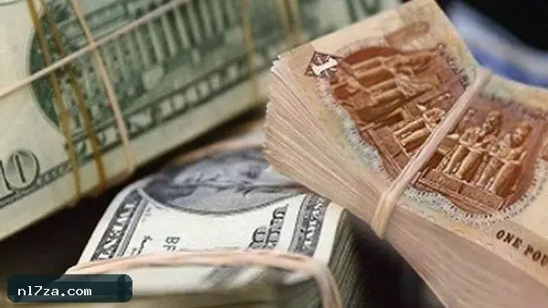 مشتريات العرب من أدوات الدين تتجاوز مليار دولار في السوق المصرية مشتريات العرب من أدوات الدين تتجاوز مليار دولار في السوق المصرية