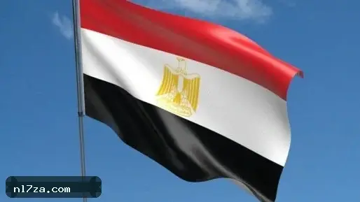 البرلمان الأوروبي يقر بمراجعة تمويل الجماعة المحظورة ويعترف بطبيعتها الإرهابية