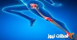 معلومات هامة حول عضلات الفخذ الأمامية