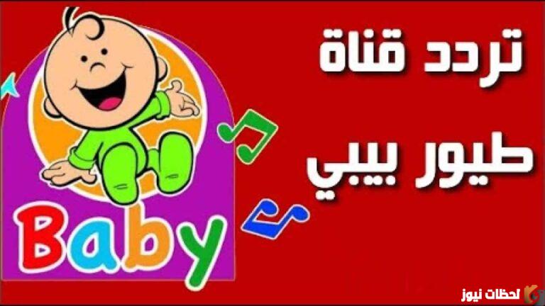 تردد طيور بيبي