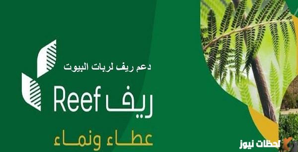 طريقة التسجيل في دعم ريف لربات البيوت