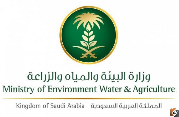 رابط وظائف وزارة البيئة والمياه والزراعة